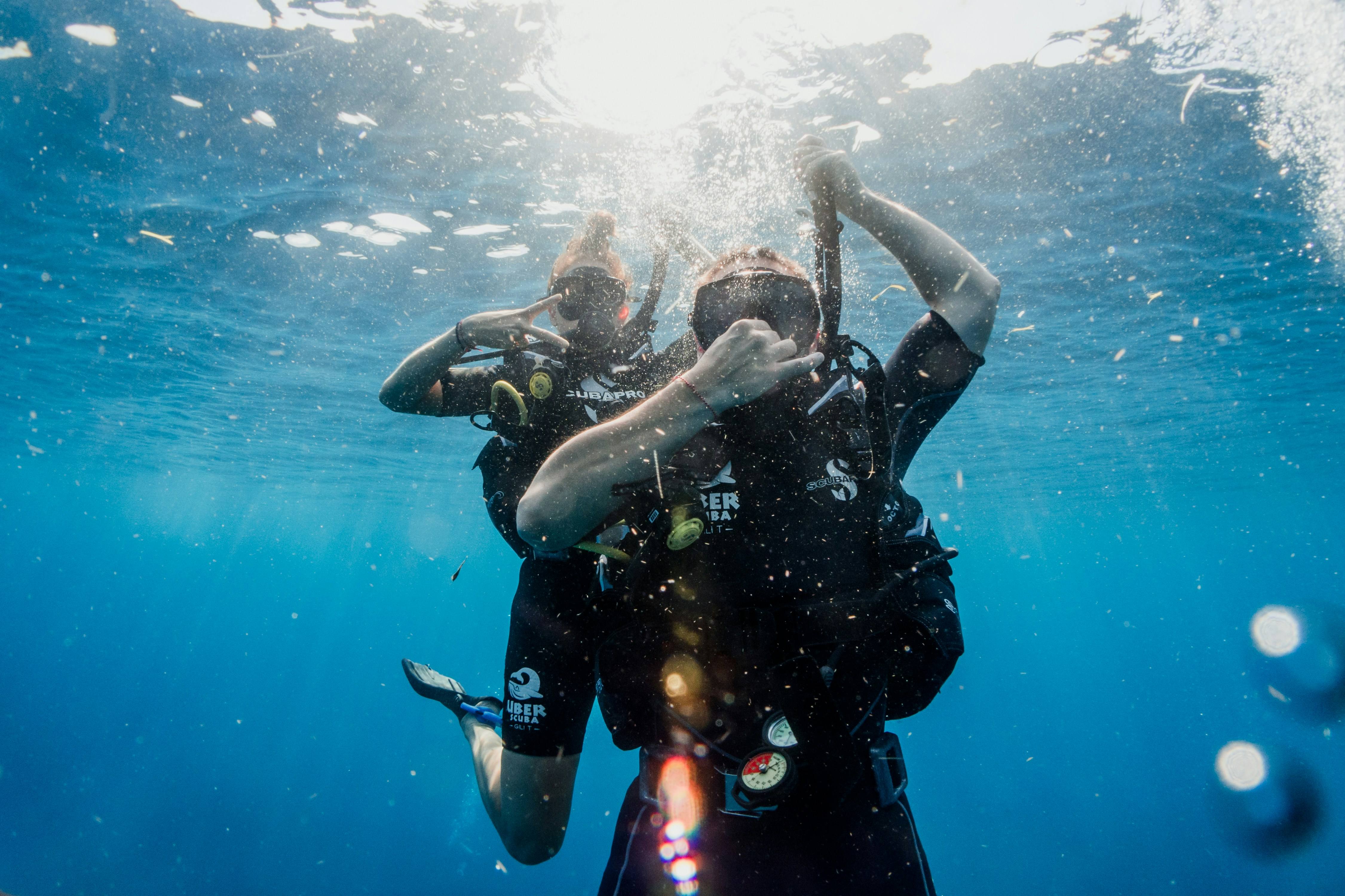 Two divers near the surface, sunlight filtering down, bubbles around them
